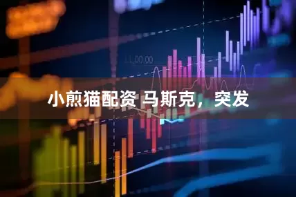 小煎猫配资 马斯克，突发