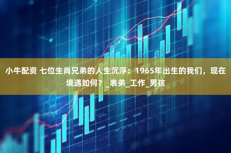 小牛配资 七位生肖兄弟的人生沉浮：1965年出生的我们，现在境遇如何？_表弟_工作_男孩