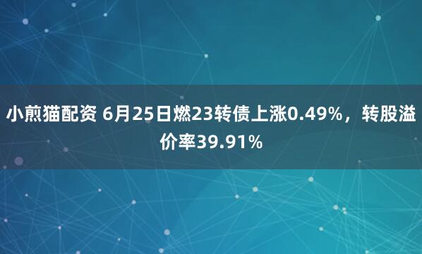 小煎猫配资 6月25日燃23转债上涨0.49%，转股溢价率39.91%