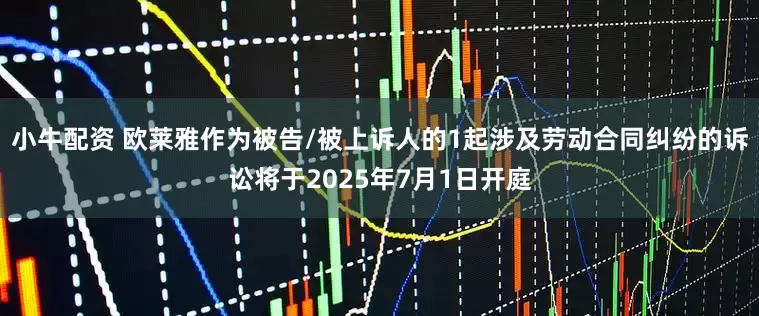 小牛配资 欧莱雅作为被告/被上诉人的1起涉及劳动合同纠纷的诉讼将于2025年7月1日开庭
