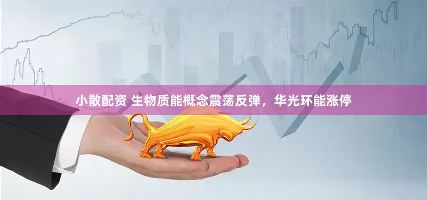 小散配资 生物质能概念震荡反弹，华光环能涨停