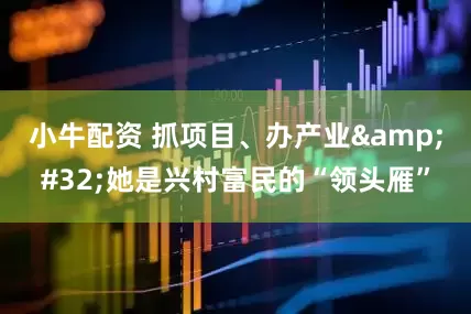 小牛配资 抓项目、办产业&#32;她是兴村富民的“领头雁”