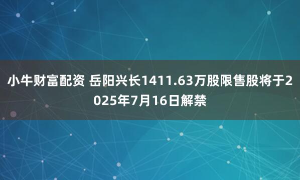 小牛财富配资 岳阳兴长1411.63万股限售股将于2025年7月16日解禁