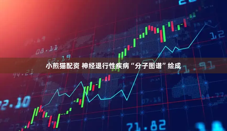 小煎猫配资 神经退行性疾病“分子图谱”绘成