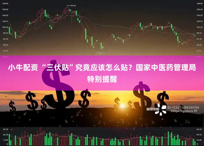 小牛配资 “三伏贴”究竟应该怎么贴？国家中医药管理局特别提醒