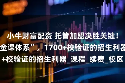 小牛财富配资 托管加盟决胜关键！路优龙博士“金课体系”，1700+校验证的招生利器_课程_续费_校区