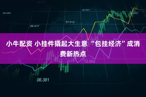 小牛配资 小挂件撬起大生意 “包挂经济”成消费新热点