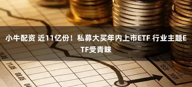 小牛配资 近11亿份！私募大买年内上市ETF 行业主题ETF受青睐
